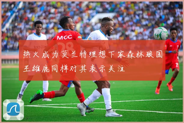 热火成为莫兰特理想下家森林狼国王雄鹿同样对其表示关注