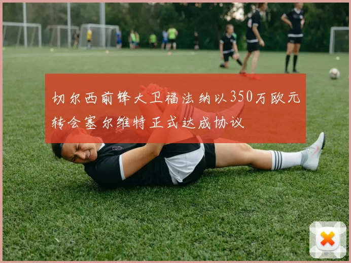 切尔西前锋大卫福法纳以350万欧元转会塞尔维特正式达成协议